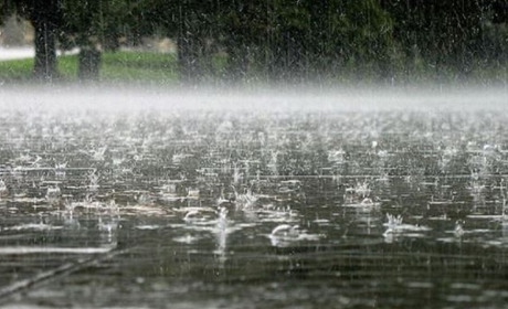 На Буковині синоптики оголосили штормове попередження