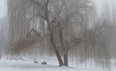 Дощ, туман та хмарність: якою буде погода на Сумщині та в Україні на вихідних