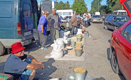Ціни на пшеницю та ячмінь суттєво знизилися. Репортаж із недільного базару