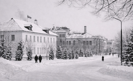 Від замерзлих птахів до парадів у -35°C: хроніка великих морозів на Глухівщині