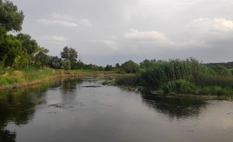 Медики оприлюднили дослідження води в Первомайську: збудника холери немає