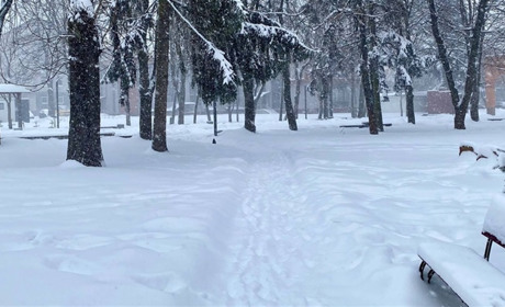 Снігопади у Звягелі: 10 одиниць техніки прибирають дороги, водіїв просять не паркувати на узбіччях