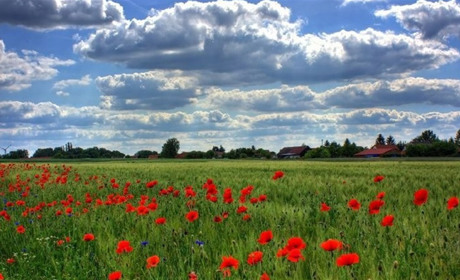 Мінлива хмарність і до 24 градусів тепла: якою буде погода на Сумщині та в Україні на початку тижня