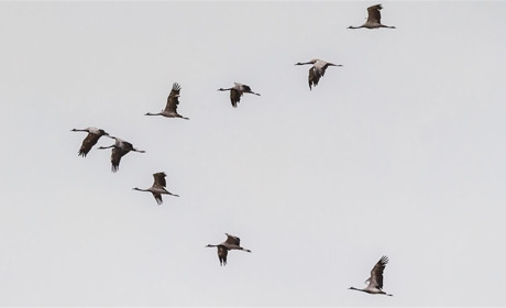 Мне кажется порою, что солдаты…