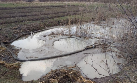 Видобували бурштин на городі: господиня викликала поліцію