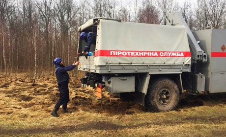 В лісі неподалік села Малий Жолудськ піротехніки знешкодили 27 мінометних мін часів Другої світової