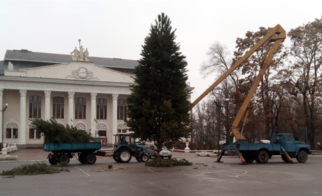 Коли запалає ялинка