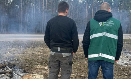 Палив траву вздовж дороги: у Сарненському районі оштрафували чоловіка
