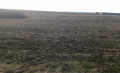 У Сарненській громаді виставили на аукціон право оренди восьми земельних ділянок