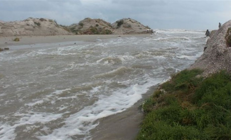 Потужний шторм у Чорному морі вирішив екологічну проблему на Одещині