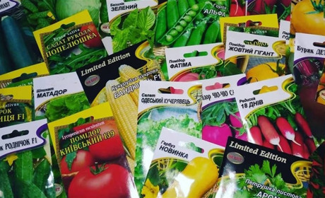 По 53 пачки семян получат 6 тысяч семей из прифронтовой зоны