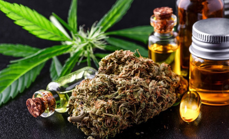 Ухвалено законопроєкт про використання в медицині ліків на основі канабісу: чому це важливо