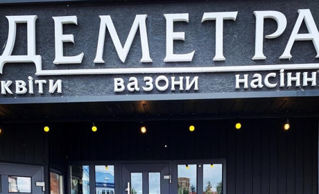 Садимо цибулю на зиму: чому вигідно придбати її у «Деметрі»