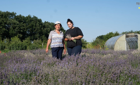 Василина Остапенко вирощує в селі на Переяславщині 60 тисяч кущів лаванди та 150 сортів троянд