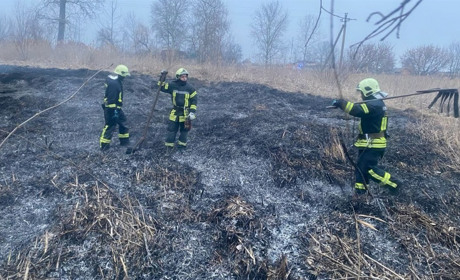 Дві пожежі на Переяславщині: горіла суха трава та очерет біля річки