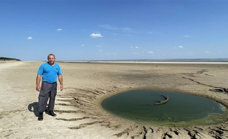 Температура на Херсонщині до +38℃