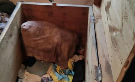 У Микільському загинули діти, закрившись у скрині