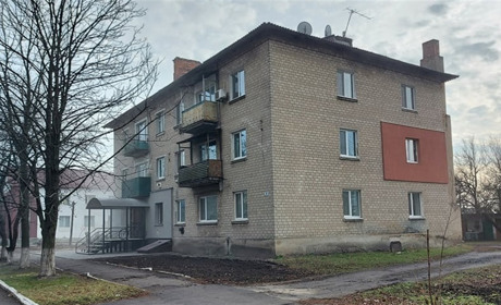 Будинок в Петропавлівці чепуриться