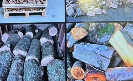 Продавав не дрова, а повітря: житель Ізмаїла, перебуваючи в СІЗО, організував шахрайський бізнес