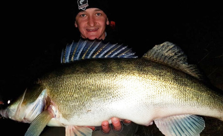 Поблизу Вараша риболов спіймав 8-кілограмового судака