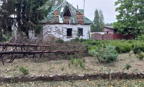 Через авіаудар 22 серпня пошкоджене Свеське лісництво