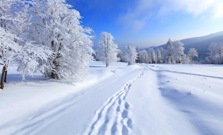 Вночі морози на Сумщині сягнуть 17-22 градусів: прогноз погоди