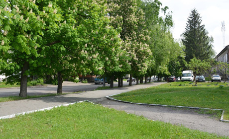 До кінця тижня на Золотоніщині потепліє: у нас вже літо
