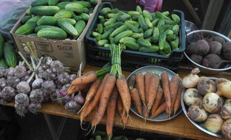 Як до кінця року зміняться ціни на продукти в Україні: аналізують експерти