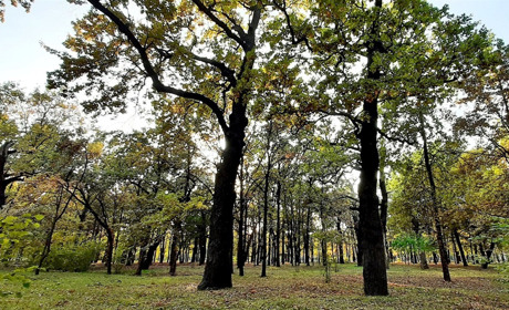 Стежками Хортиці разом з відомим мандрівником. Гайда до розваг з Мелітополь.Сіty!