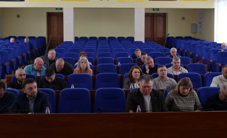 Сесія міськради: зміни до бюджету, георадарне сканування замку та "Серце матері Героя"