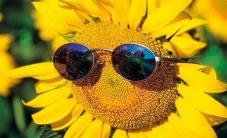 Літо повертається! Наступний тиждень порадує хорошою погодою!