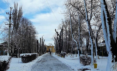 Він повертається і не сам: Одещині знову прогнозують сніг, вітер і мінус 12 морозу