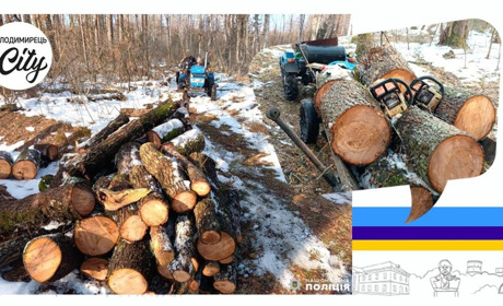 У Неньковичах поліцейські викрили трьох зловмисників на незаконній порубці деревини у заповіднику