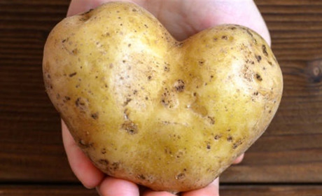 Фотоконкурс «Смішні картоплинки». Цікаву картоплю копайте, фотографуйте і надсилайте!