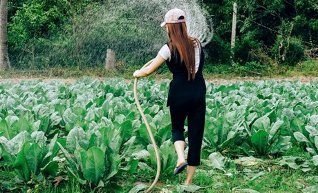 Саме час поливати - 5 пропозицій шлангів зі знижками, які не бояться сонця