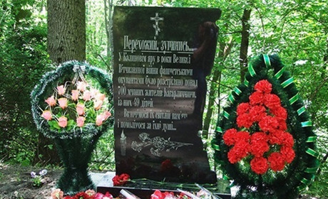Хто рятував Марiка Лейфенфельда?