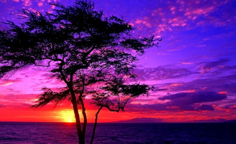 Чи може заставка на телефоні впливати на ваше життя?