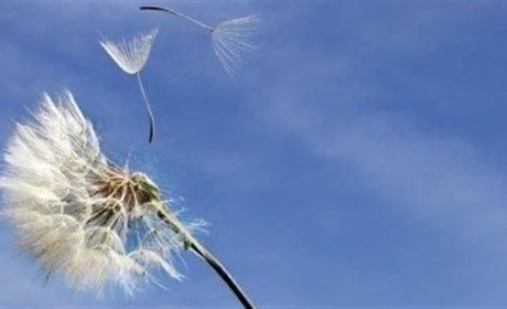 Погода у Старокостянтинові на 20-26 травня: буде тепло, подекуди спекотно