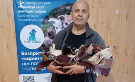 🤖 Запитай у Білла: чи є в Біляївській громаді можливість безкоштовно стерилізувати кота чи собаку