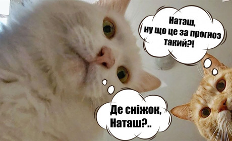 Найближчими днями синоптики Сумщини прогнозують туман і плюси