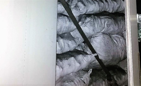 Незаконний вантаж: у Сарнах патрульні зупинили фуру з деревним вугіллям