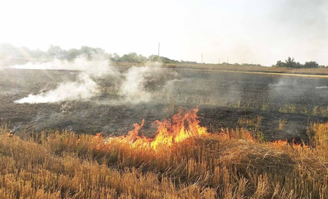 Пожежники гасили стерню в селі Расавка Кагарлицької громади