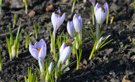 Якою буде погода у Сватовому і районі з 18 по 24 березня