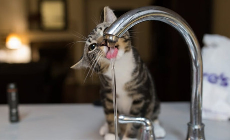 Водоканал Звягеля попередив про відключення води в одному з мікрорайонів міста