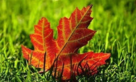 У найближчі дні дощів на Сумщині не прогнозують: погода від синоптиків