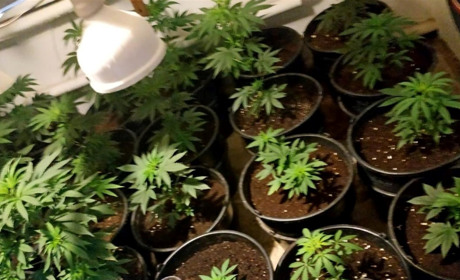 Сватівчанин, який організував вдома нарколабораторію, постане перед судом: подробиці