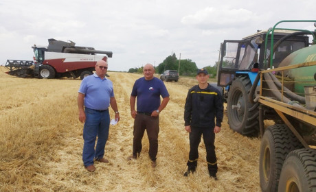 Жнива-2019: у районі на збиранні ранніх зернових культур півшляху пройдено