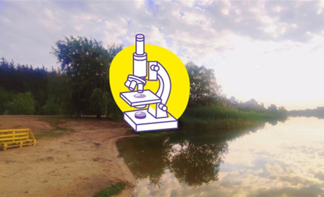 Чи безпечна вода в річці Берестовій — перші результати аналізу