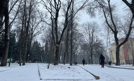 Гарно, але брудно. Що кажуть красноградці про стан парків в місті та як пропонують їх оновити?