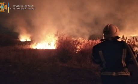 У Білокуракиному Сватівського району сталася пожежа на площі майже гектар: що горіло